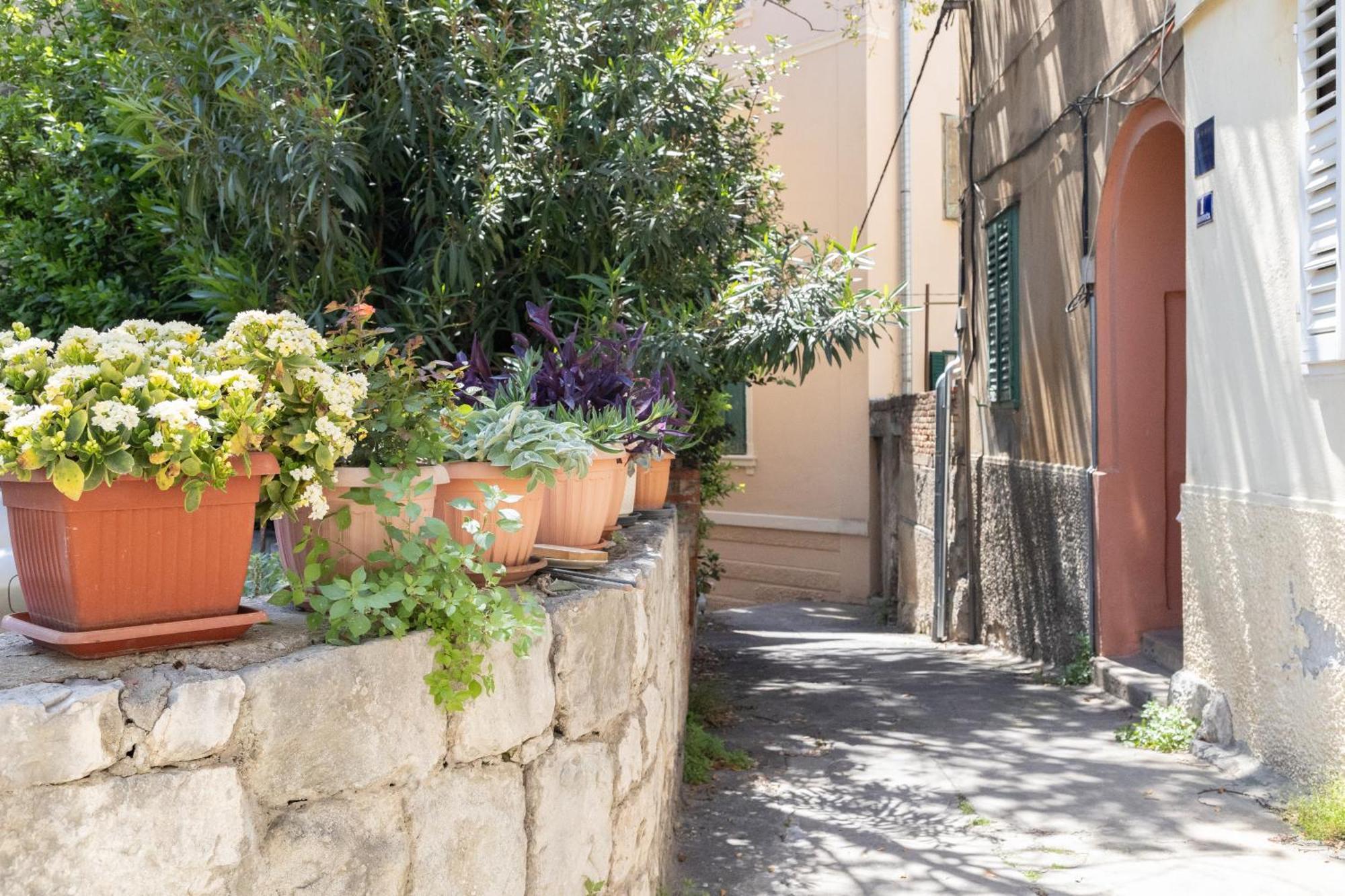 Apartment Regina Σπλιτ Εξωτερικό φωτογραφία